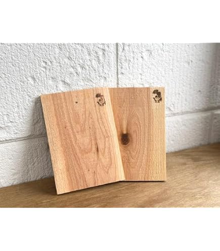 =専用作成= ビカクシダ 板付用 切り株型 着生材 へご板 Amazon.co.jp: ビカクシダ 板付用 切り株型 着生材 へご板 : DIY・工具